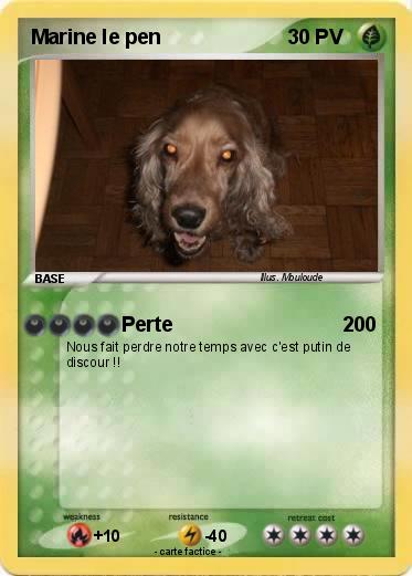 Pokemon Marine le pen