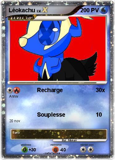 Pokemon Léokachu