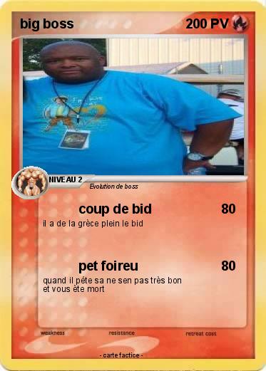 Pokemon big boss