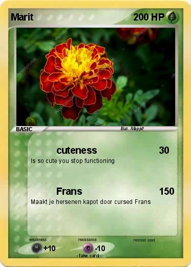 Pokemon Marit