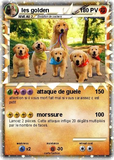 Pokemon les golden