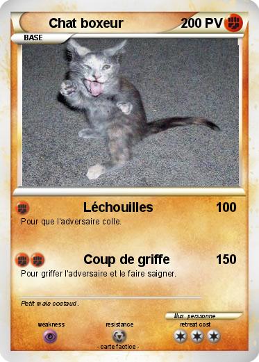 Pokemon Chat boxeur