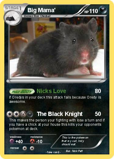 Pokemon Big Mama'