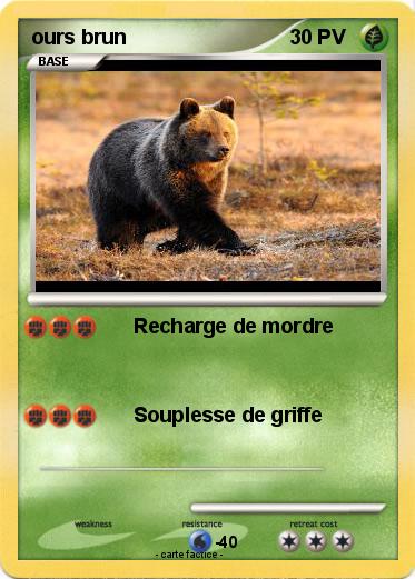 Pokemon ours brun