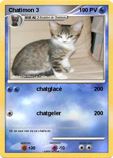 Pokemon Chatimon 3