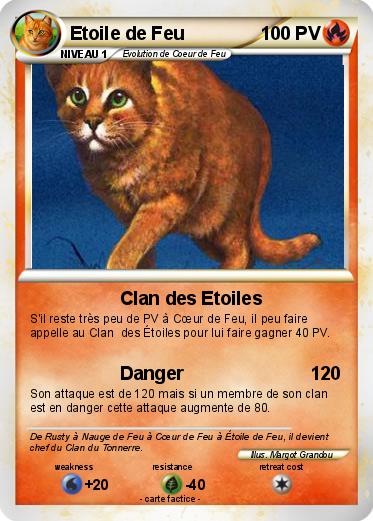 Pokemon Etoile de Feu