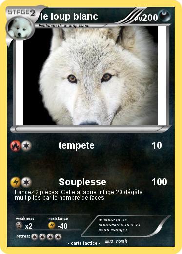 Pokemon le loup blanc