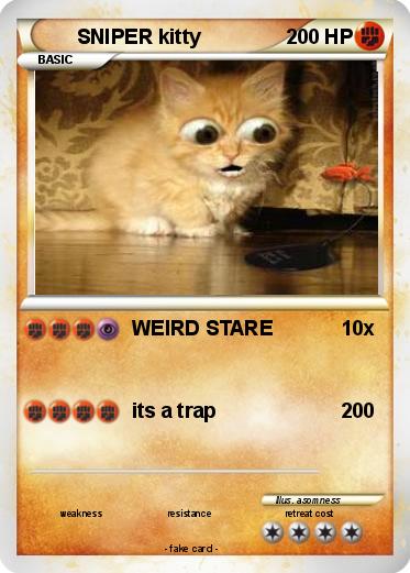 Pokemon SNIPER kitty