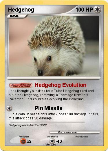 Pokemon Hedgehog