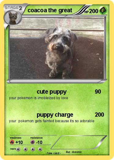 Pokemon coacoa the great