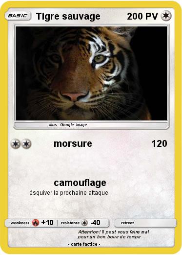Pokemon Tigre sauvage
