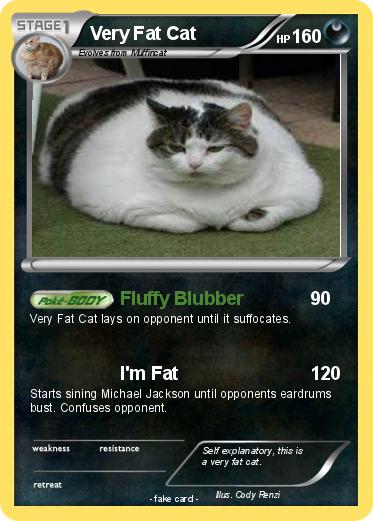 Pokemon Very Fat Cat