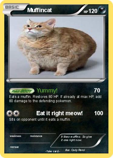 Pokemon Muffincat