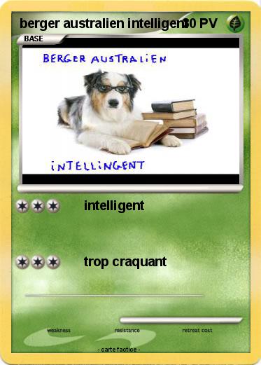 Pokemon berger australien intelligent