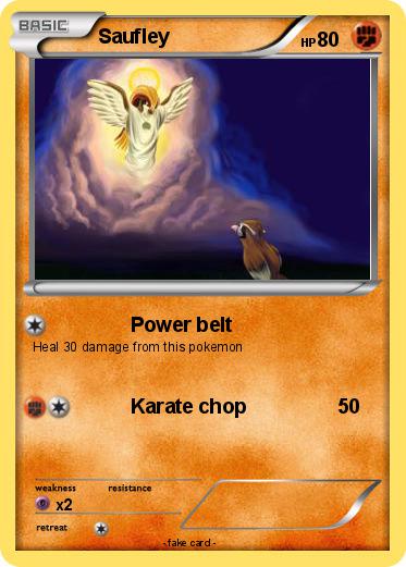 Pokemon Saufley
