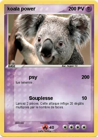 Pokemon koala power