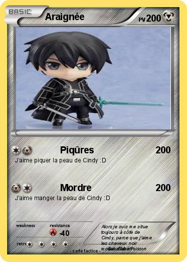 Pokemon Araignée