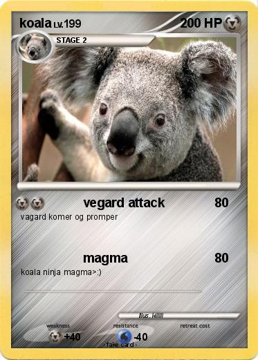 Pokemon koala