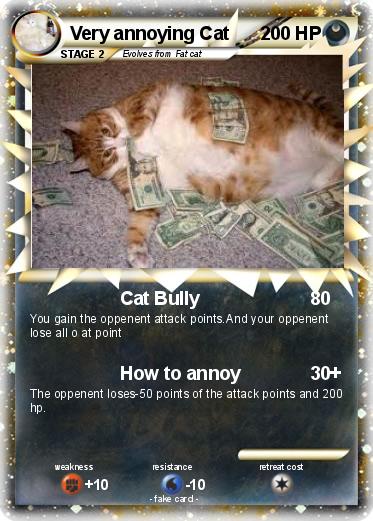 Pokemon Very annoying Cat