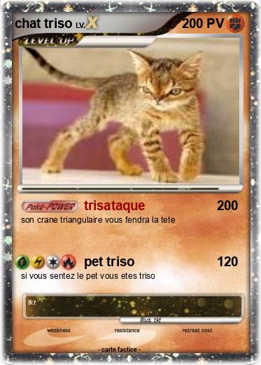 Pokemon chat triso