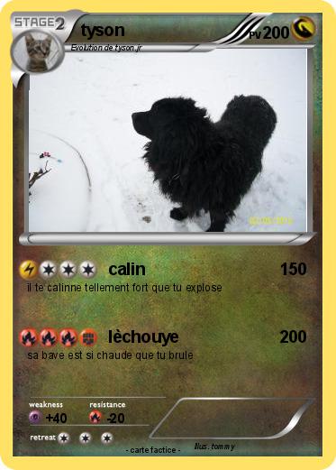 Pokemon tyson