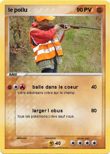 Pokemon le poilu
