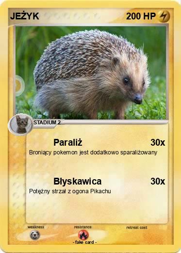 Pokemon JEŻYK