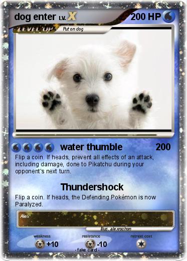 Pokemon dog enter
