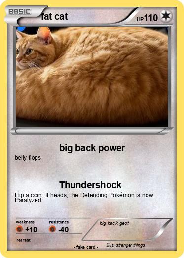 Pokemon fat cat