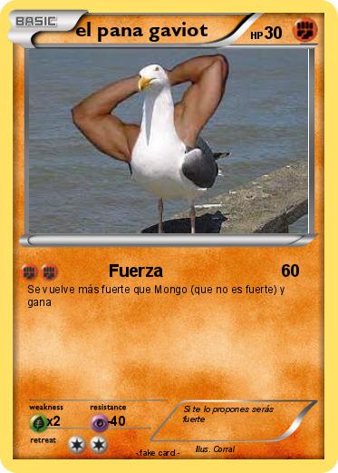 Pokemon el pana gaviot