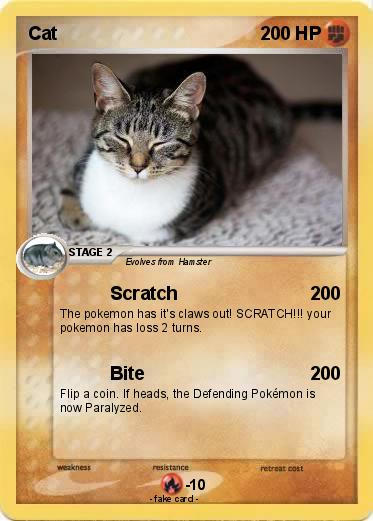 Pokemon Cat