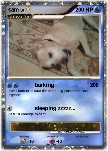 Pokemon sam