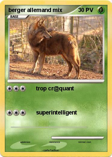 Pokemon berger allemand mix