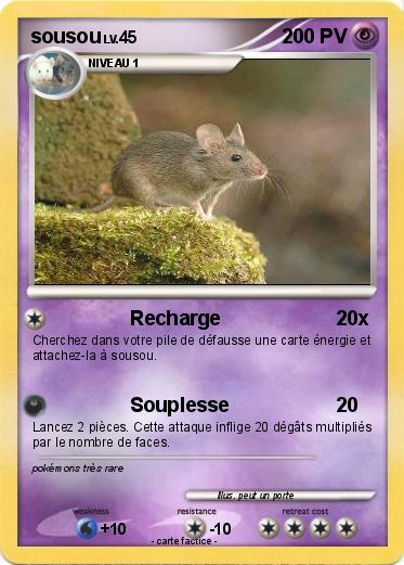Pokemon sousou
