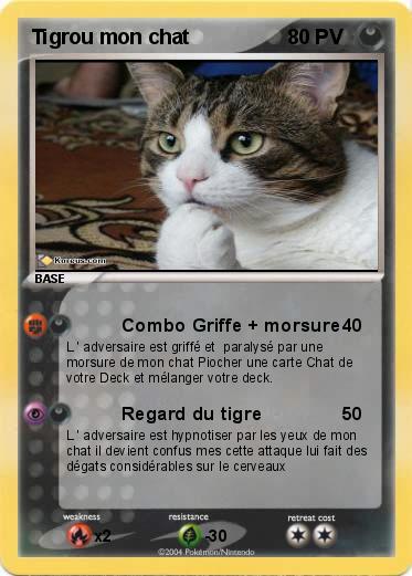 Pokemon Tigrou mon chat 