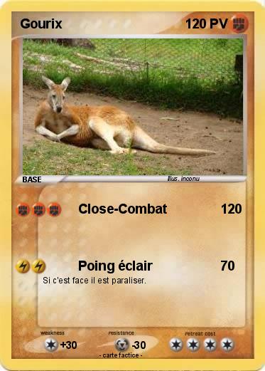 Pokemon Gourix