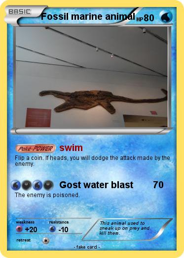 Pokemon Fossil marine animal