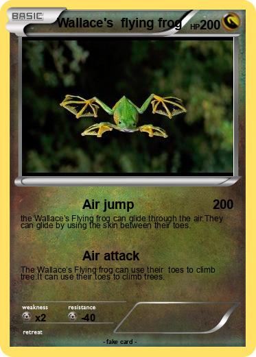 Pokemon Wallace's  flying frog