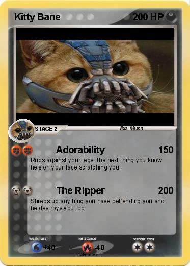 Pokemon Kitty Bane