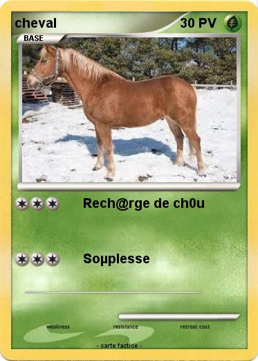 Pokemon cheval