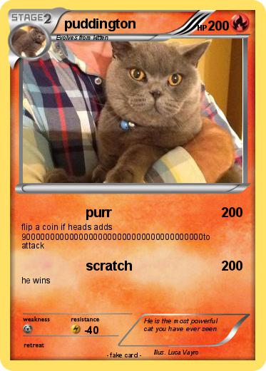Pokemon puddington