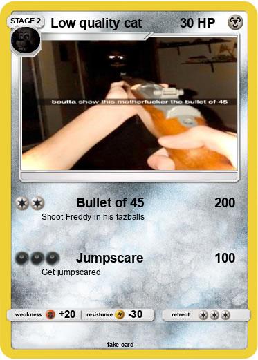 Pokemon Low quality cat