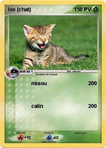 Pokemon leo (chat)