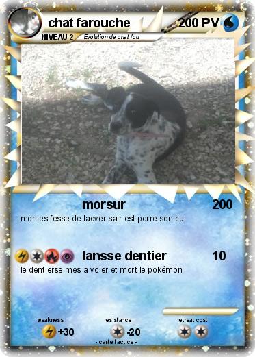 Pokemon chat farouche