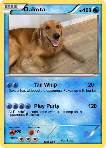 Pokemon Dakota