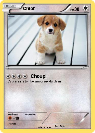 Pokemon Chiot