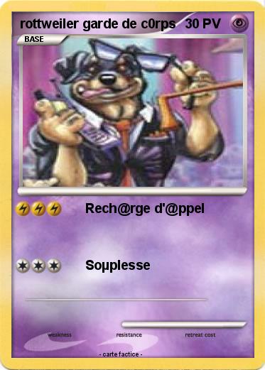 Pokemon rottweiler garde de c0rps