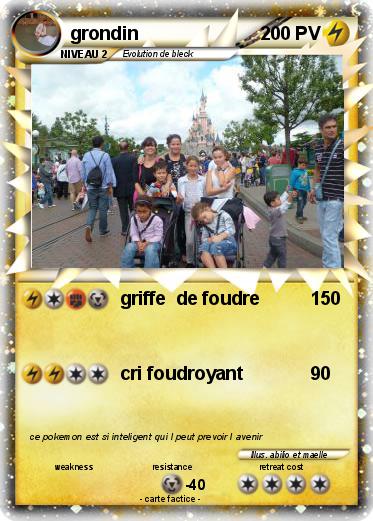 Pokemon grondin