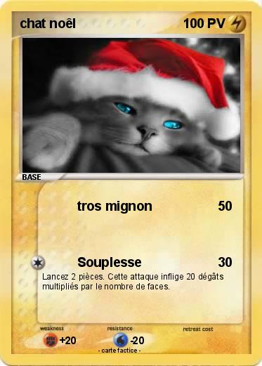Pokemon chat noêl