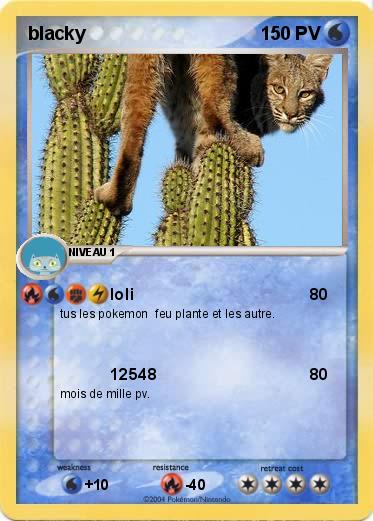 Pokemon blacky